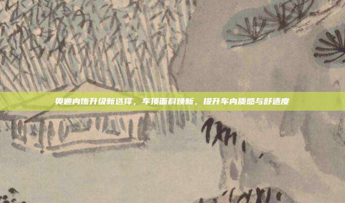 奥迪内饰升级新选择，车顶面料焕新，提升车内质感与舒适度