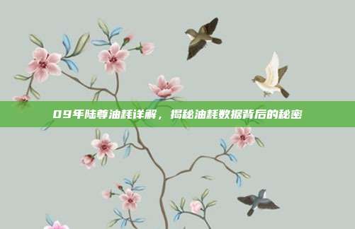 09年陆尊油耗详解，揭秘油耗数据背后的秘密