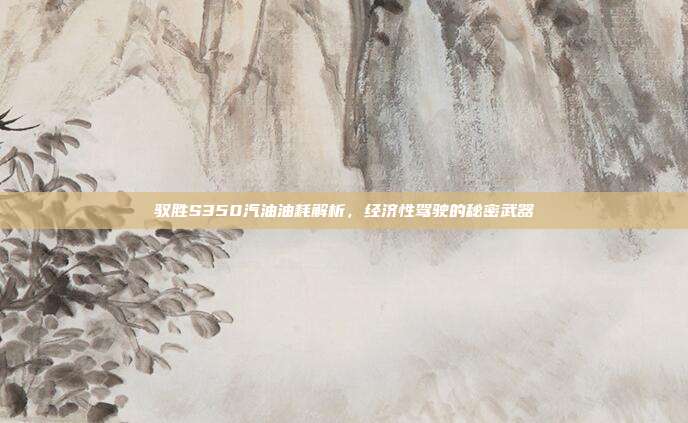 驭胜S350汽油油耗解析，经济性驾驶的秘密武器
