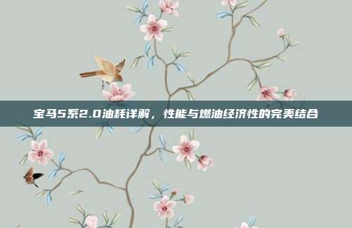 宝马5系2.0油耗详解，性能与燃油经济性的完美结合