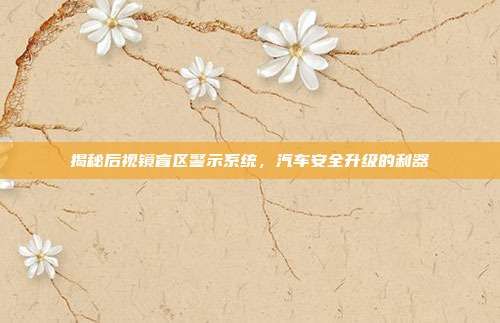 揭秘后视镜盲区警示系统，汽车安全升级的利器