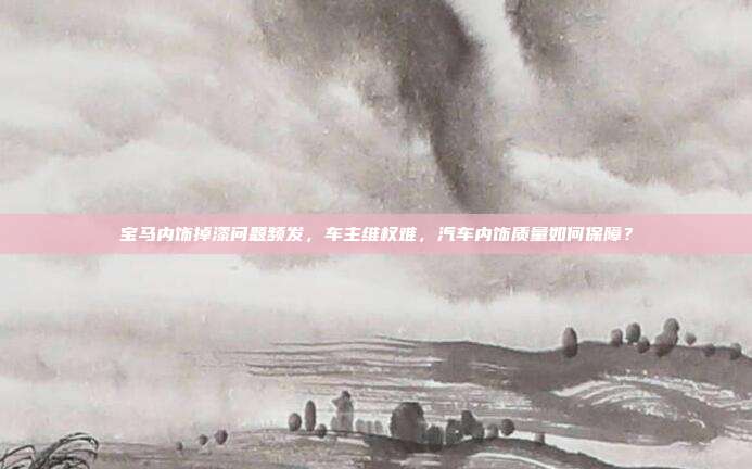 宝马内饰掉漆问题频发，车主维权难，汽车内饰质量如何保障？