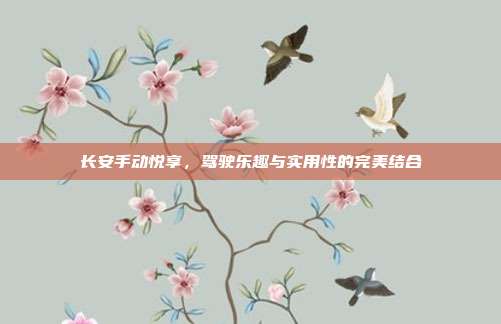 长安手动悦享，驾驶乐趣与实用性的完美结合