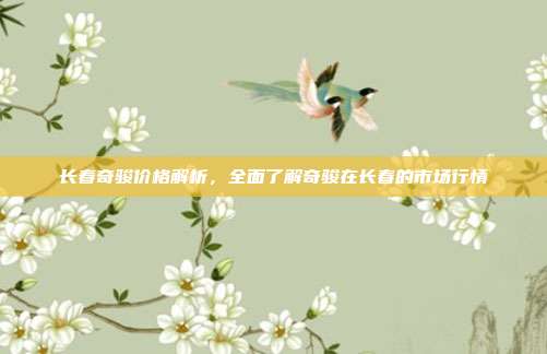长春奇骏价格解析，全面了解奇骏在长春的市场行情
