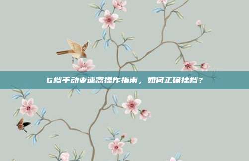 6档手动变速器操作指南，如何正确挂档？