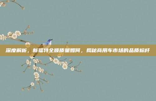 深度解析，新福特全顺质量如何，揭秘商用车市场的品质标杆
