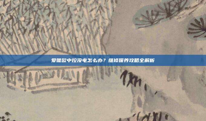 爱唯欧中控没电怎么办？维修保养攻略全解析