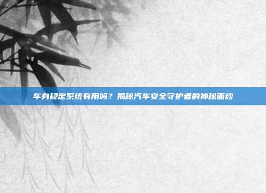 车身稳定系统有用吗？揭秘汽车安全守护者的神秘面纱