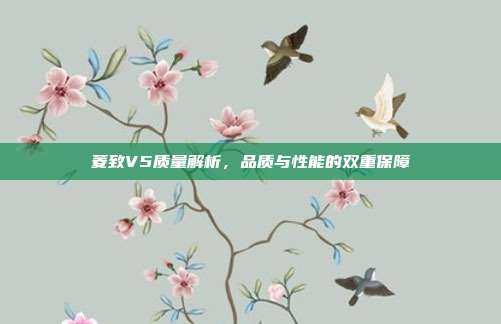 菱致V5质量解析，品质与性能的双重保障