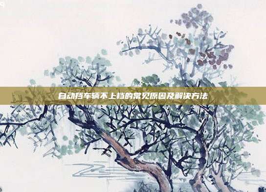 自动挡车辆不上档的常见原因及解决方法