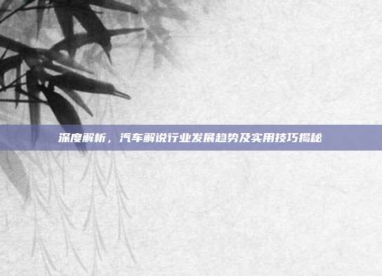 深度解析，汽车解说行业发展趋势及实用技巧揭秘