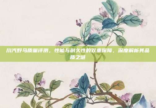 川汽野马质量评测，性能与耐久性的双重保障，深度解析其品质之谜