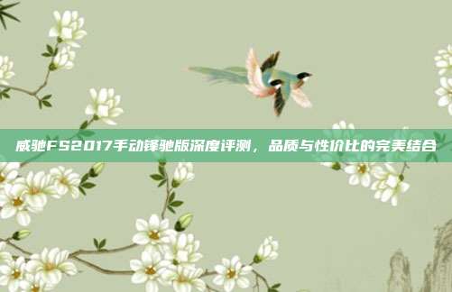 威驰FS2017手动锋驰版深度评测，品质与性价比的完美结合