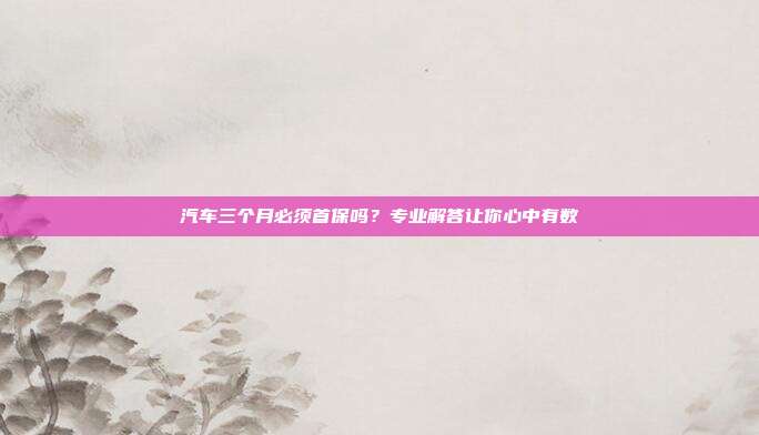 汽车三个月必须首保吗？专业解答让你心中有数