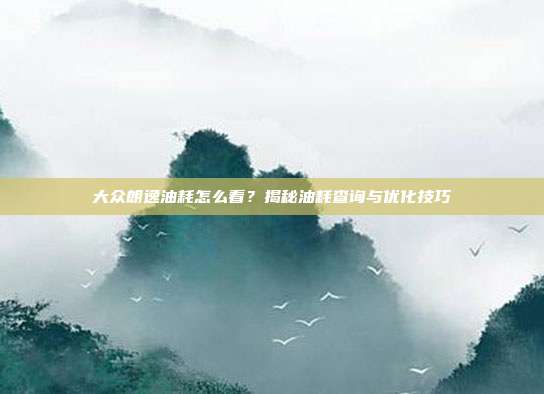 大众朗逸油耗怎么看？揭秘油耗查询与优化技巧