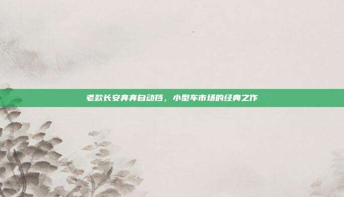 老款长安奔奔自动挡，小型车市场的经典之作