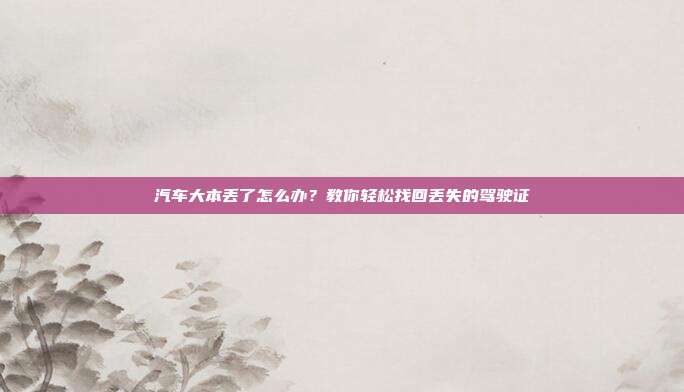 汽车大本丢了怎么办？教你轻松找回丢失的驾驶证