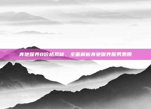 奔驰保养B价格揭秘，全面解析奔驰保养服务费用