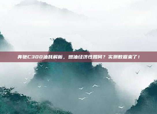 奔驰C300油耗解析，燃油经济性如何？实测数据来了！
