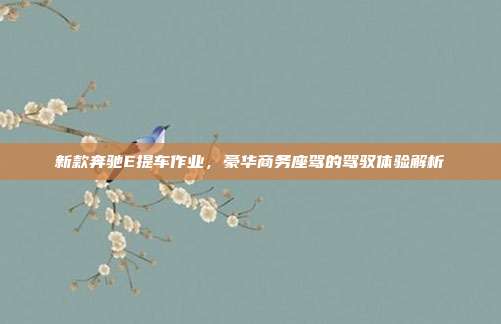 新款奔驰E提车作业，豪华商务座驾的驾驭体验解析