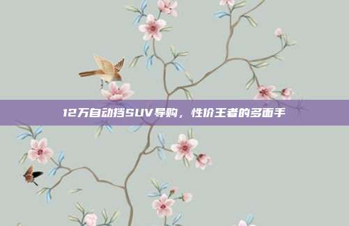 12万自动挡SUV导购，性价王者的多面手
