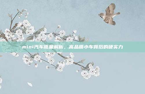 mini汽车质量解析，高品质小车背后的硬实力