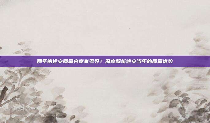 那年的途安质量究竟有多好？深度解析途安当年的质量优势