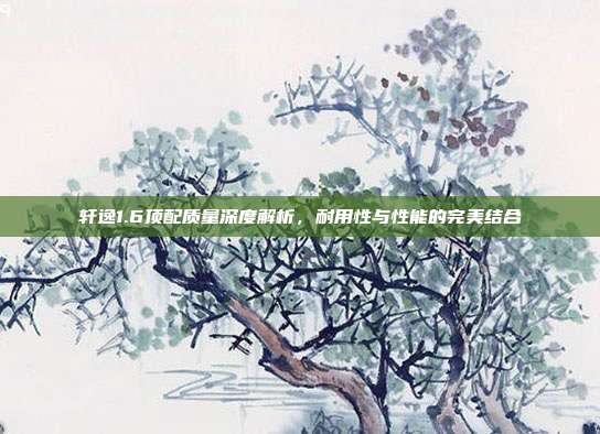 轩逸1.6顶配质量深度解析，耐用性与性能的完美结合