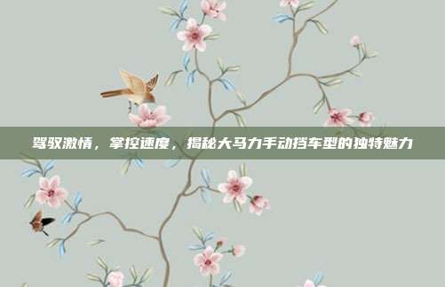 驾驭激情，掌控速度，揭秘大马力手动挡车型的独特魅力