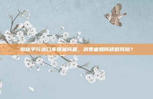 揭秘平行进口车质量问题，消费者如何规避风险？