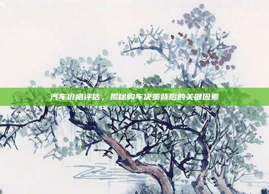 汽车价格评估，揭秘购车决策背后的关键因素
