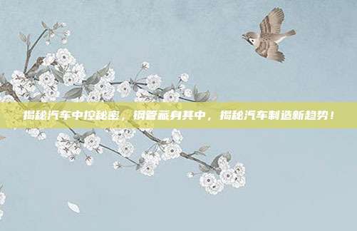 揭秘汽车中控秘密，钢管藏身其中，揭秘汽车制造新趋势！