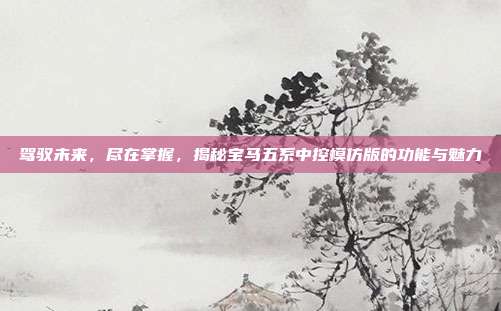 驾驭未来，尽在掌握，揭秘宝马五系中控模仿版的功能与魅力