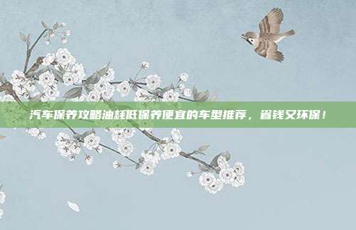 汽车保养攻略油耗低保养便宜的车型推荐，省钱又环保！