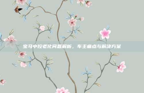 宝马中控老化问题解析，车主痛点与解决方案