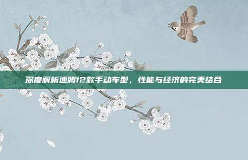 深度解析速腾12款手动车型，性能与经济的完美结合