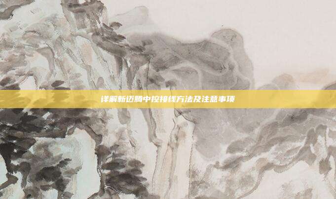 详解新迈腾中控接线方法及注意事项