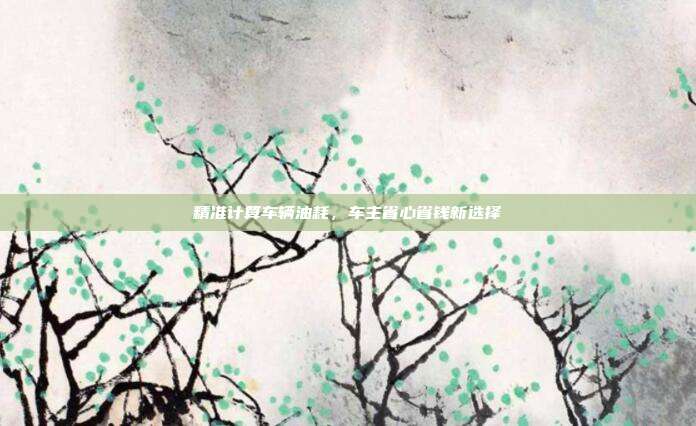 精准计算车辆油耗，车主省心省钱新选择