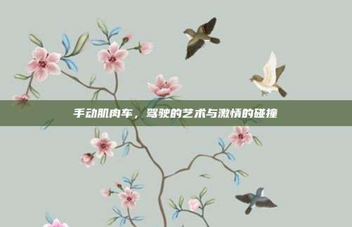 手动肌肉车，驾驶的艺术与激情的碰撞
