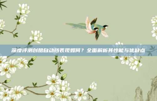 深度评测创酷自动挡表现如何？全面解析其性能与优缺点