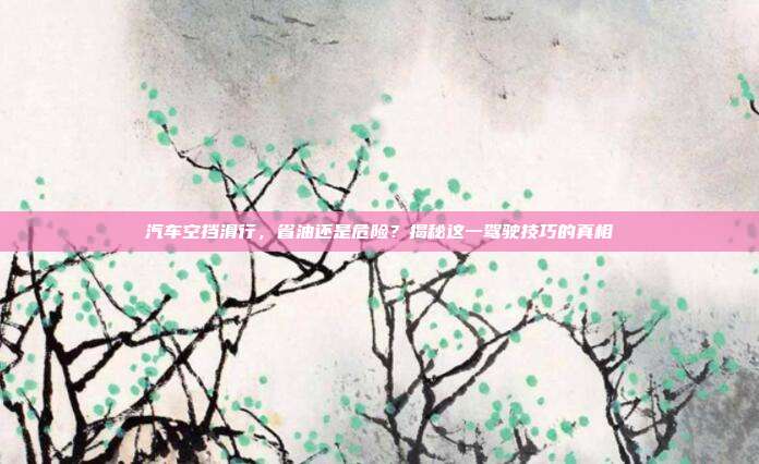 汽车空挡滑行，省油还是危险？揭秘这一驾驶技巧的真相