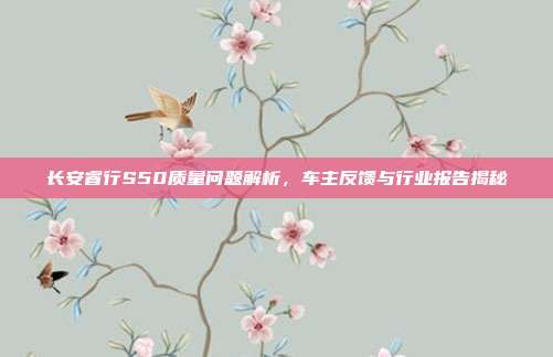 长安睿行S50质量问题解析，车主反馈与行业报告揭秘