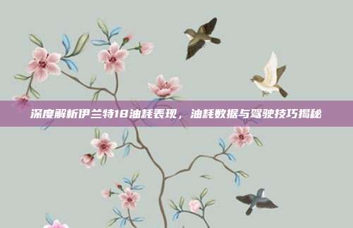 深度解析伊兰特18油耗表现，油耗数据与驾驶技巧揭秘
