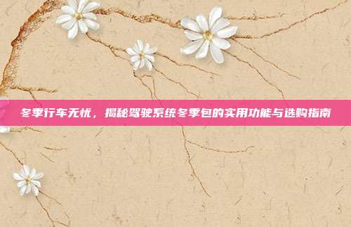 冬季行车无忧，揭秘驾驶系统冬季包的实用功能与选购指南