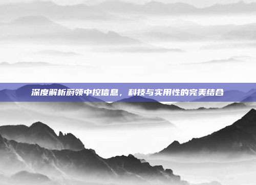 深度解析蔚领中控信息，科技与实用性的完美结合