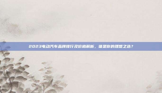 2023电动汽车品牌排行及价格解析，谁是你的理想之选？