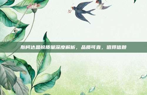 斯柯达晶锐质量深度解析，品质可靠，值得信赖