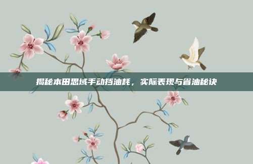 揭秘本田思域手动挡油耗，实际表现与省油秘诀