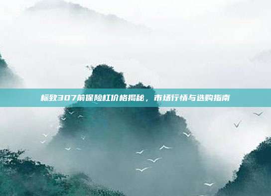标致307前保险杠价格揭秘，市场行情与选购指南