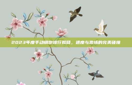 2023年度手动钢炮排行揭晓，速度与激情的完美碰撞